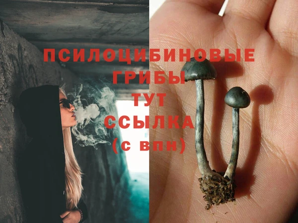 прущая мука Остров