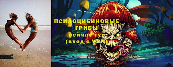тгк Осинники