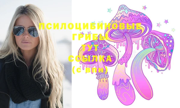 МДПВ Осташков