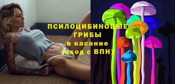 МДПВ Осташков