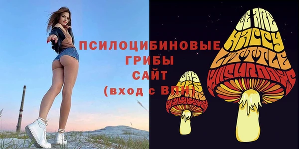 прущая мука Остров